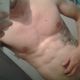 Paulo 5