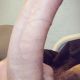 Daniel_93 6