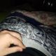 antuan 5