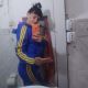 Pameliita 12