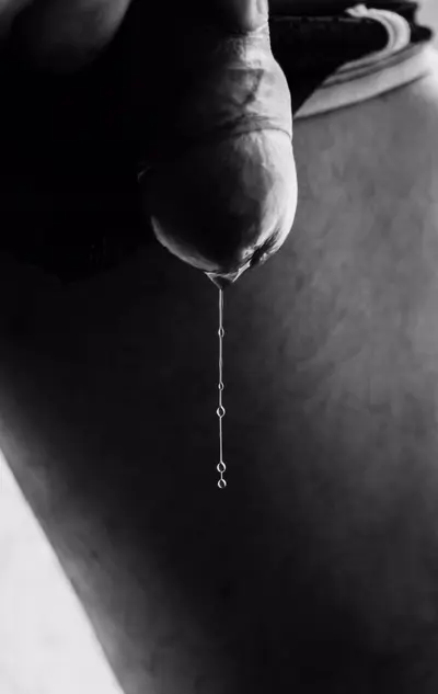 Estado