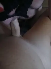 Foto 85 de 100