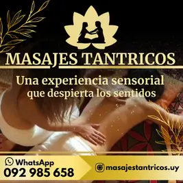 Foto 5 de 19