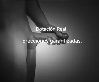 Foto 5 de 5