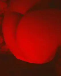Foto 2 de 2