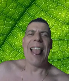 Foto 11 de 11