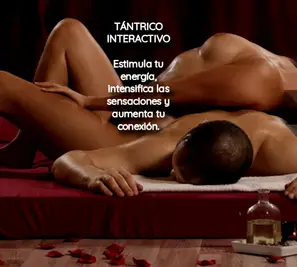 Foto 112 de 112